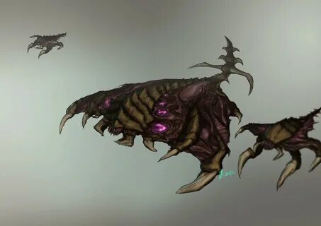 Zerg