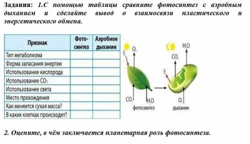 Последовательность процессов фотосинтеза. Этапы процесса фотосинтеза. Фотосинтез таблица. Фотосинтез ЕГЭ биология. Дыхание как и фотосинтез ответы