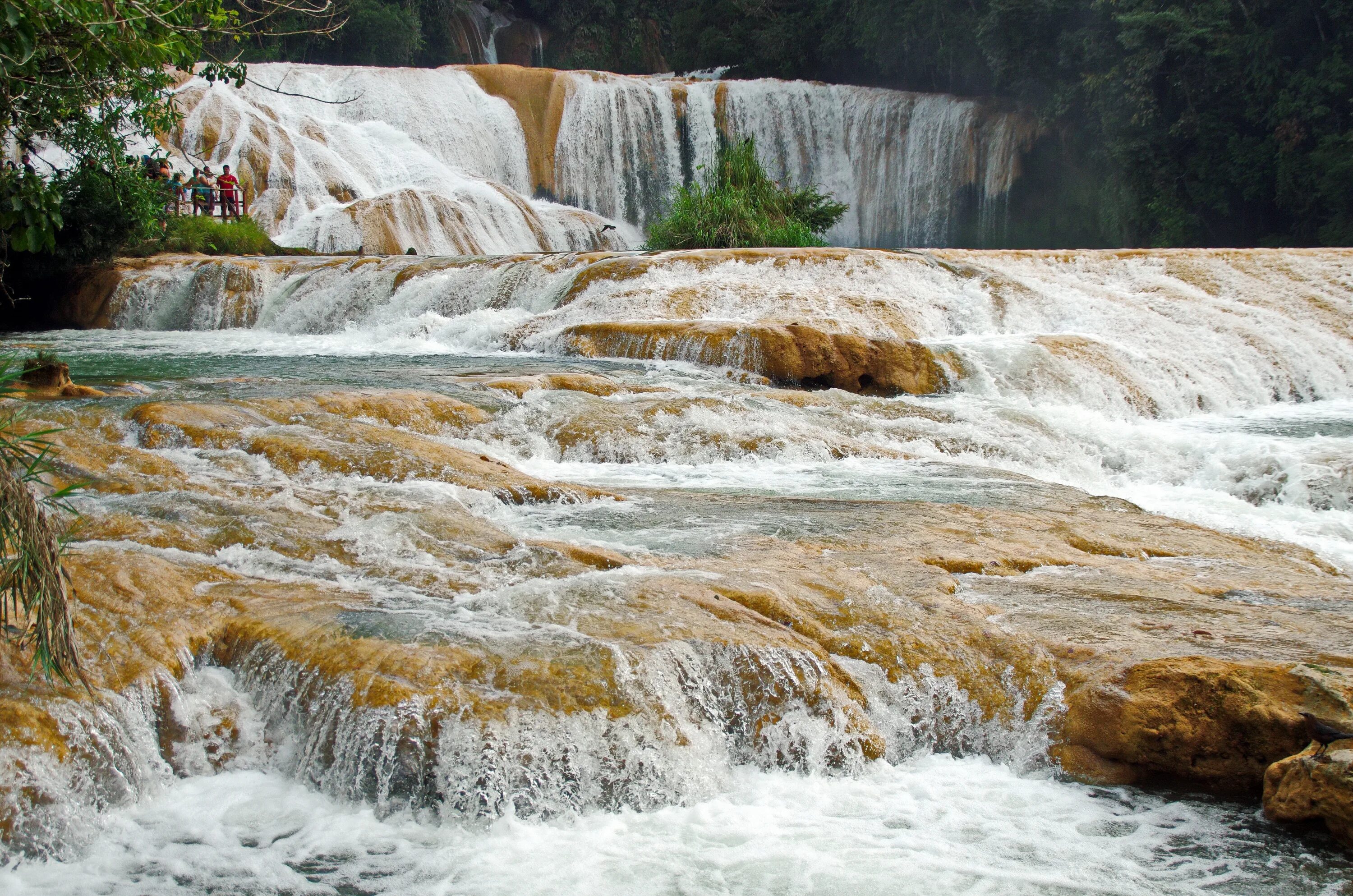 Стремительный водопад. Мексика водопады Чьяпас. Agua Azul водопад Мексика. Водопад Агуазуль Мексика. Водопад Агуа Асуль Мексика.