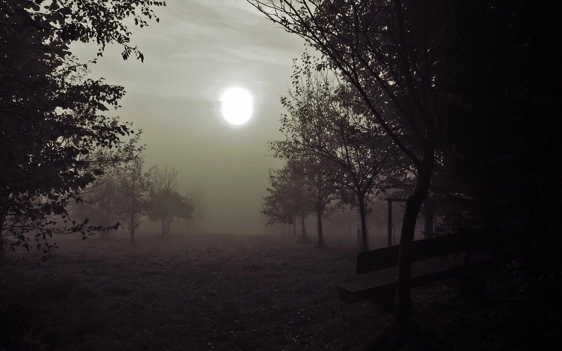 Луна туман песня. Мрачный фон. Грустный пейзаж. Эстетика природы ночью. Темный пейзаж.