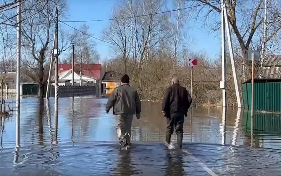 Паводок 2024 брянск прогноз. Радица-Крыловка Брянская область наводнение. Паводок. Весенний паводок. Наводнение фото.