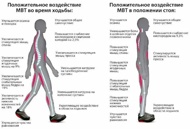 После ходьбы сильно болят. Нагрузка на позвоночник при ходьбе. Мышцы задействованные при ходьбе. Нагрузка на стопу при ходьбе. Нагрузка на позвоночник при беге.