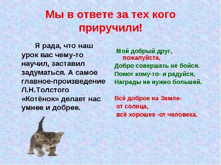 Рассказ о коте 2 класс. Произведение котенок. Рассказ котенок. Рассказ про кота 2 класс. Рассказ котенок 2 класс.