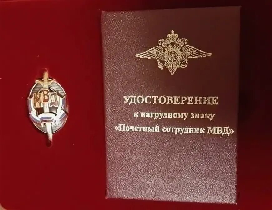 С днем исполнения административного законодательства. С днем исполнения административного законодательства