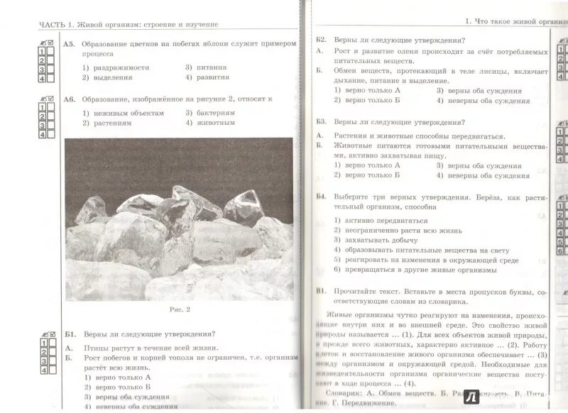 Таст по беологии 5 клас. Биология 5 класс тесты. Тест по биологии 5 класс. Тесты по биологии 5 класс Плешаков.