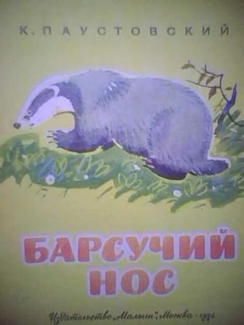 Паустовский барсучий нос читать полностью. К. Паустовский "барсучий нос". Паустовский барсучий нос иллюстрации.