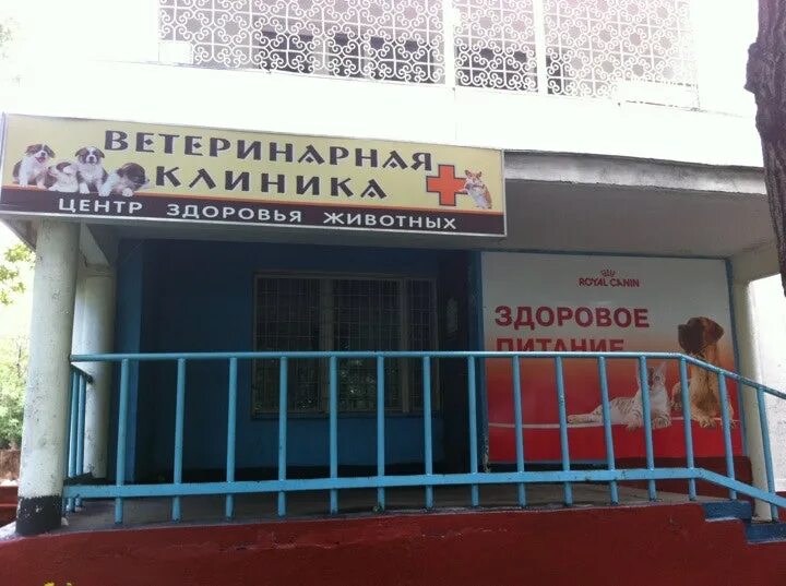 Здоровье животных миасс. Здоровье животных миасс. Ветеринарный центр южный. Зоомагазин миасс. Ветклиника вивавет миасс.