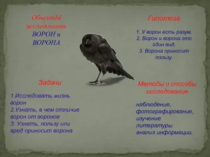 Вороной сочетания слов