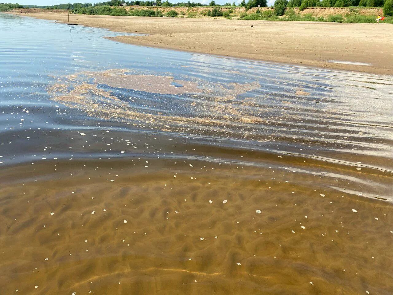 Вода в вычегде. Вода в вычегде