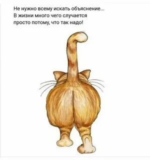Искать объяснение