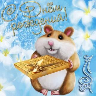 День хомяка открытки