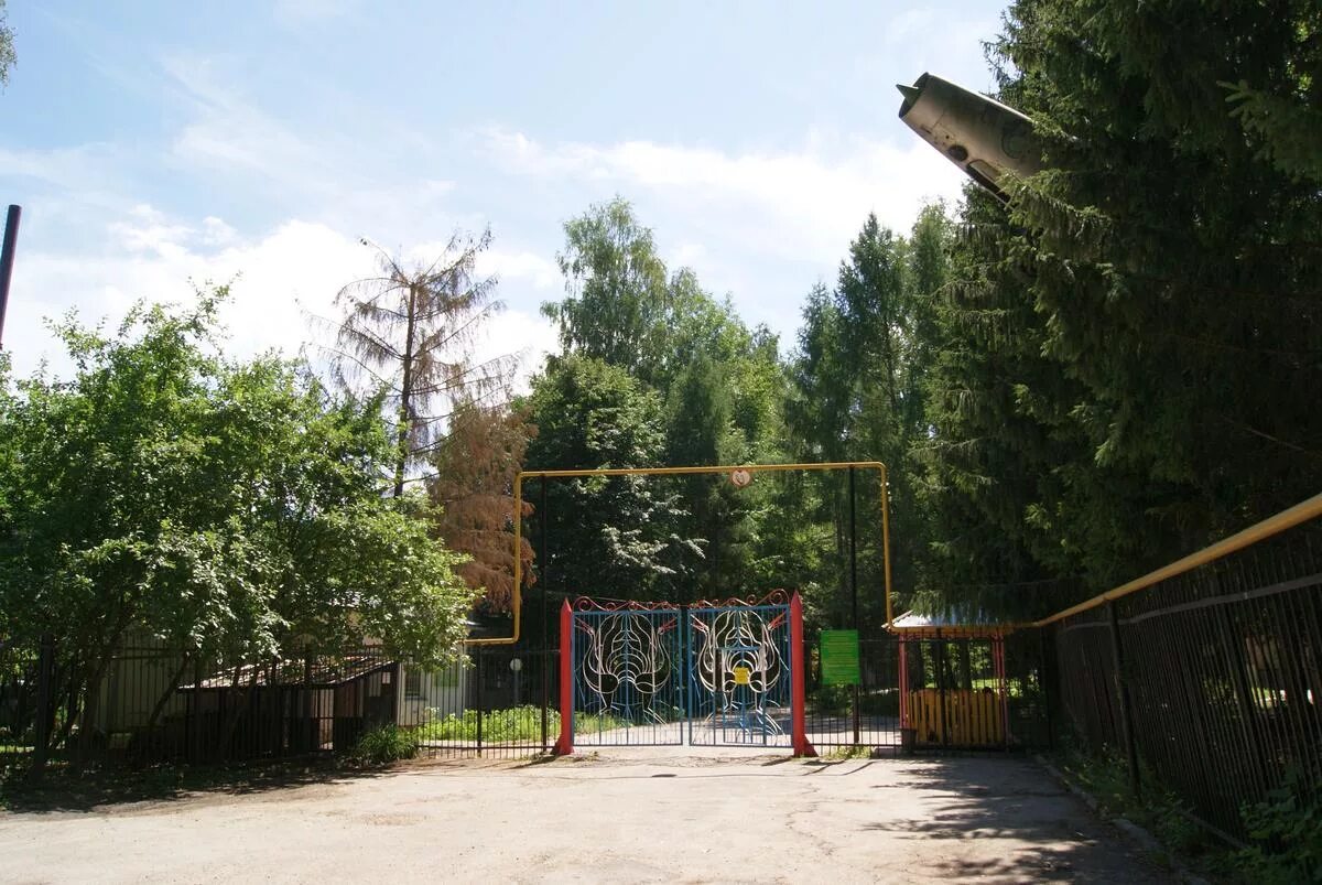 Лесная жемчужина ульяновск. Сайт санатория лесной сказке. Детский санаторий лесная сказка чувашия. Сайт санатория лесной сказке. Сайт санатория лесной сказке.