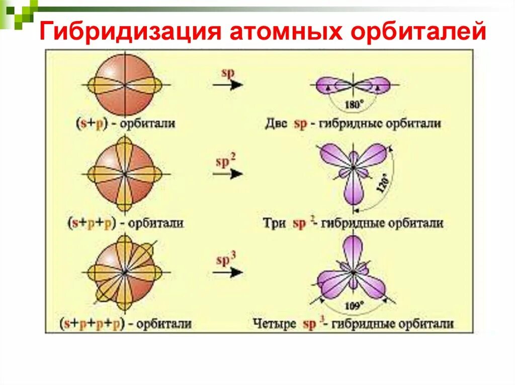 Различные типы гибридизации и форма атомных орбиталей. Гибридизация атомных орбиталей СП. Типы гибридизации орбиталей. Типы гибридизации электронных орбиталей. Особенность гибридизации