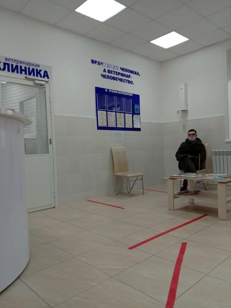 элитвет южно-сахалинск. ветклиника сахвет южно-сахалинск. ветклиника сахвет южно-сахалинск. ветеринарная клиника свой доктор южно-сахалинск. вет клиника сахвет южно сахалинск.