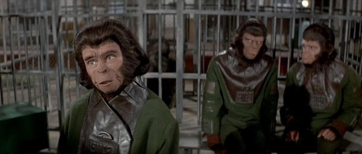 бегство с планеты обезьян 1971. планета обезьян 1971. бегство с планеты обезьян. бегство с планеты обезьян. бегство с планеты обезьян 1971.