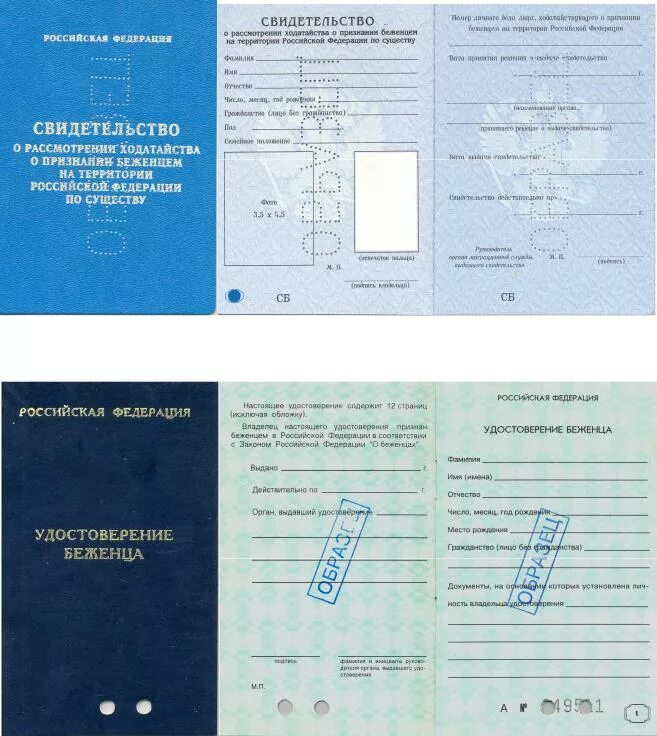 Свидетельство о предоставлении временного убежища на территории. Документ вынужденного переселенца