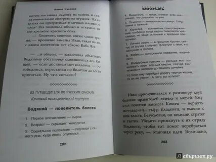 Последний богатырь книга