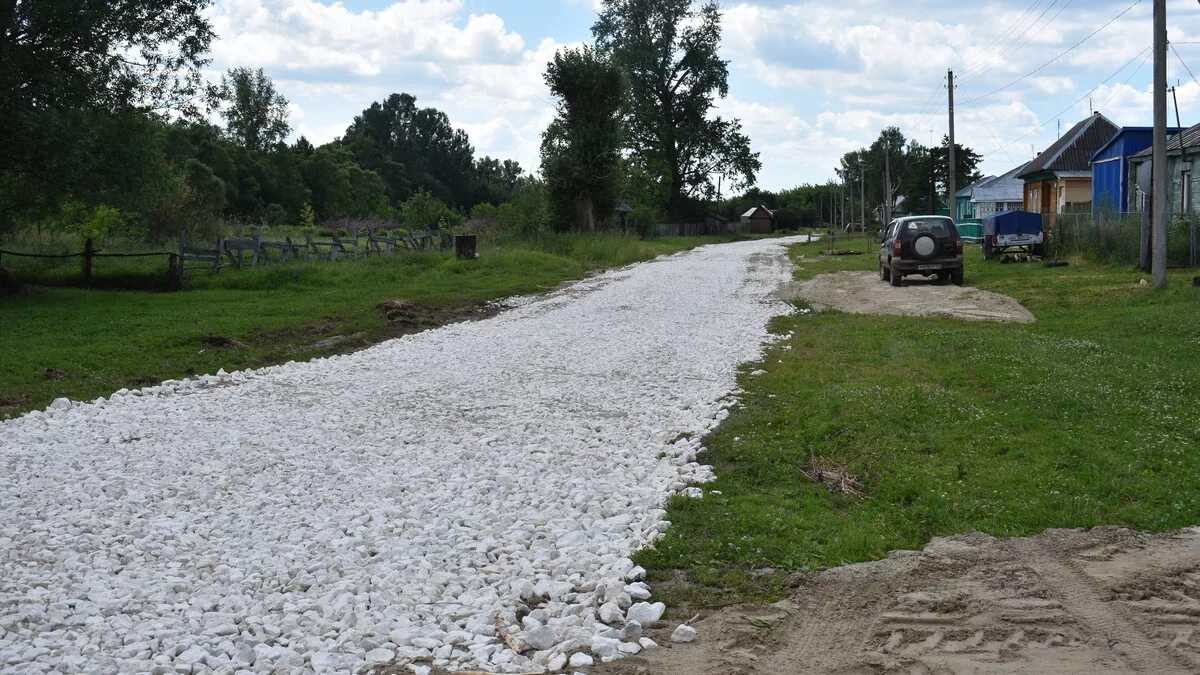 Погода село борки. С Борки Шацкого района. Шацкий район село Борки. Деревня Борки Шиловский район. Деревня Борки Рязанская область Шацкий район.