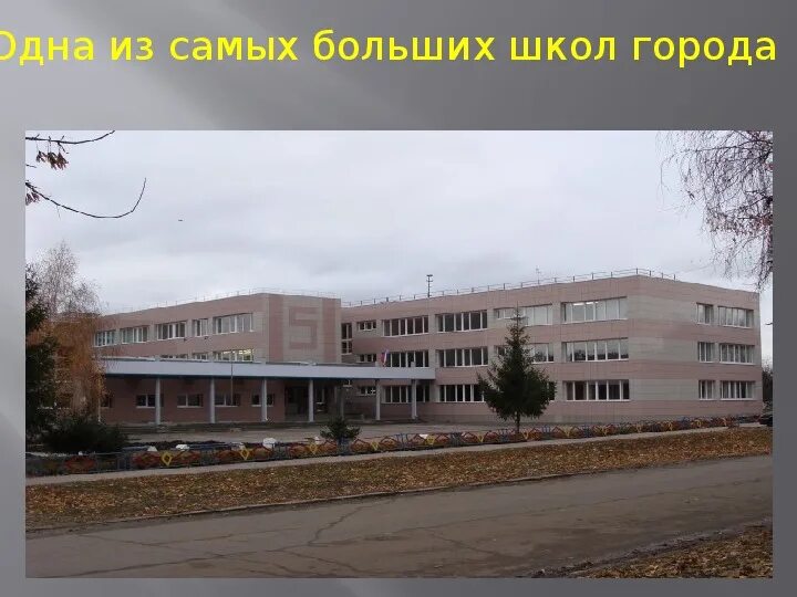 Сайт 5 школа город. СОШ 5 Шебекино. Школа МБОУ СОШ 5 Шебекино. Сайт школы 5 Шебекино Белгородской области. Город Шебекино школа номер 5.