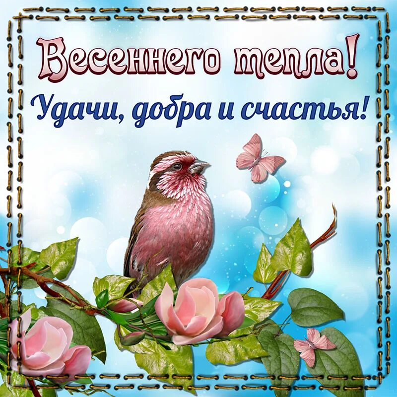 Доброго теплого весеннего дня. Открытки весеннего настроения. весенние пожелания. весеннего настроения пожелания. открытки весенние с пожеланиями.