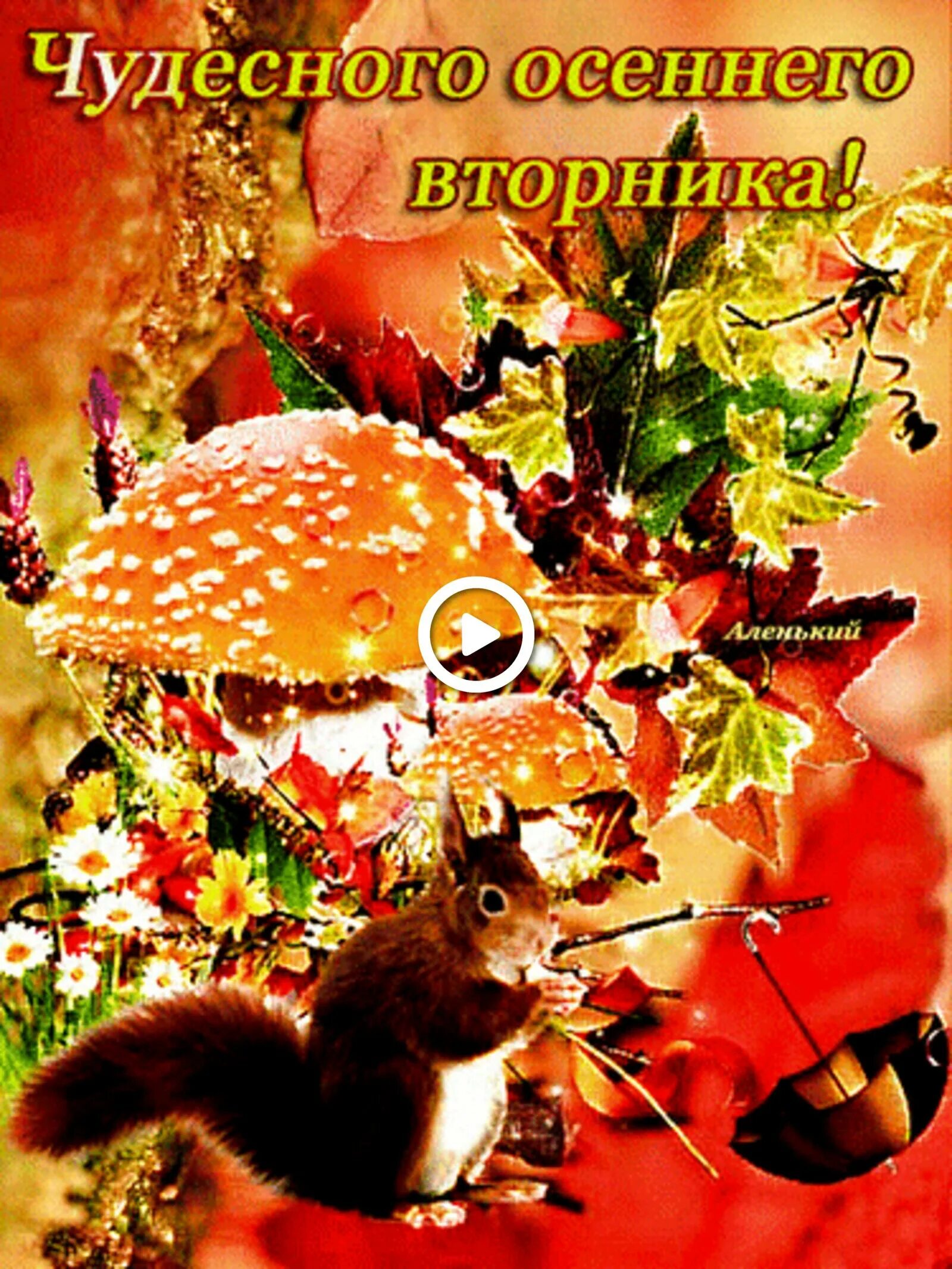 Приятного сентябрьского дня. Осенние открытки. теплой осени и хорошего настроения. доброго осеннего дня и хорошего настроения. дободгд осеннего аьорника.