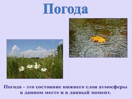 Погода в данном месте