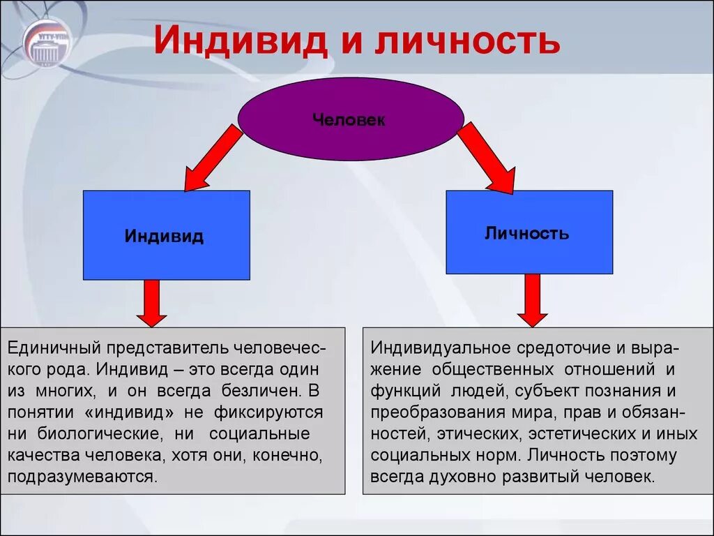 Индивид и личность разница