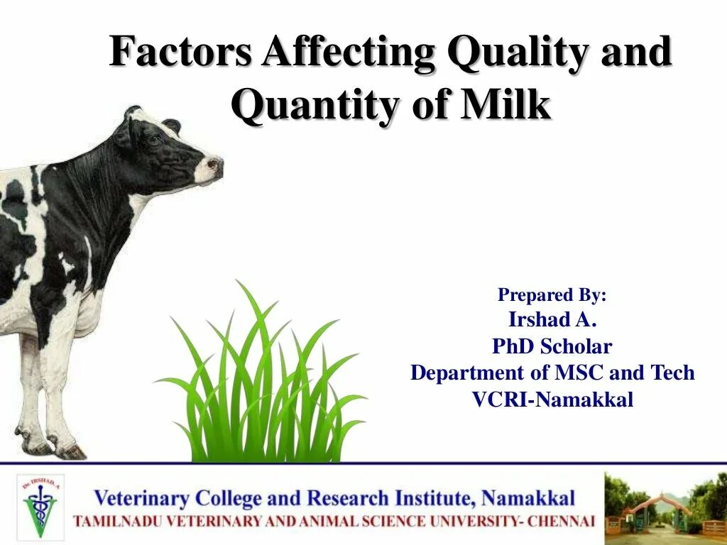 Effect quality. Composition of Milk. Improving Milk Yield of Dairy Cattle. Cow vs Goat Milk Composition. What Farm animal products Milk?.
