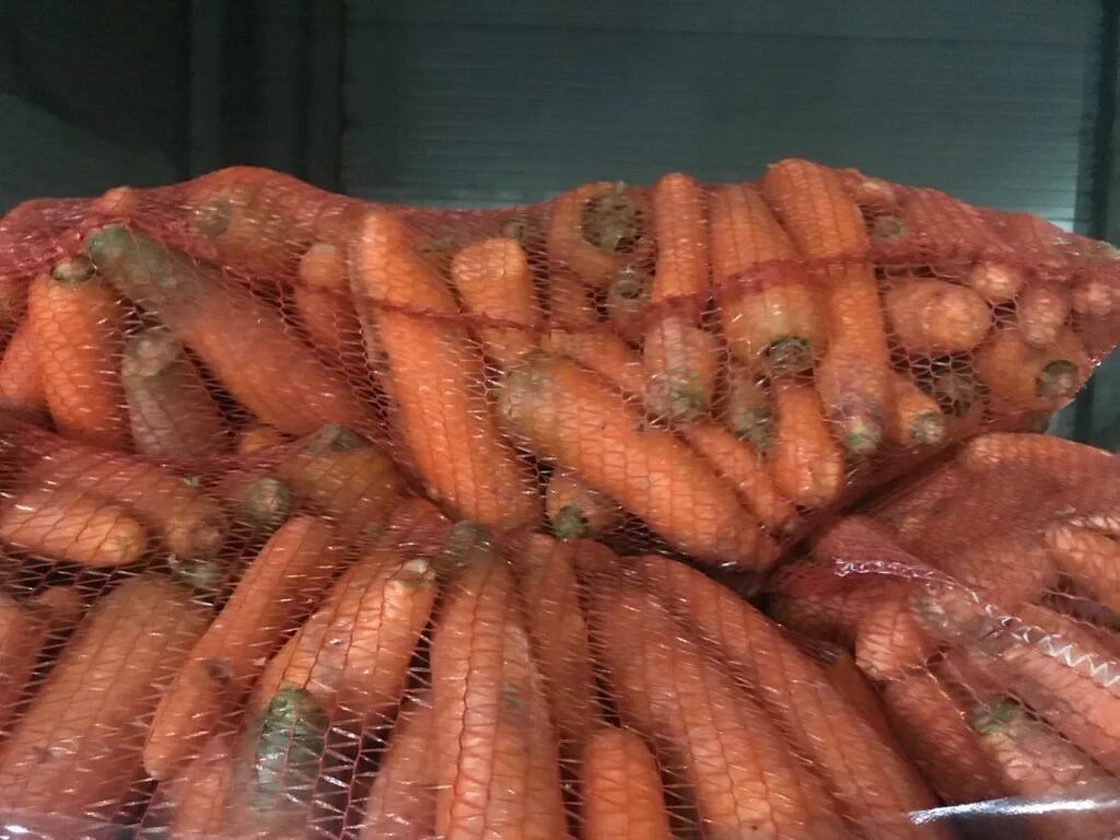 10 килограмм моркови. Морковь, сетка. Морковка в сетке. Морковь мытая. Морковь мытая фасованная.