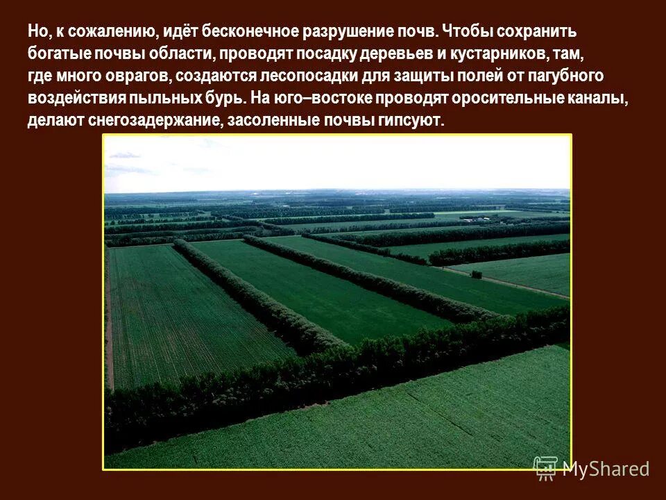 Тайга не отличается богатством почвенных ресурсов. Покров подзолистых почв. Проект почвенная ресурсы. Тайга не отличается богатством почвенных ресурсов. Тайга не отличается богатством почвенных ресурсов.