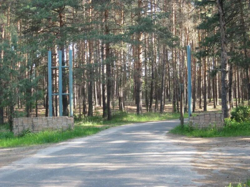 Мещера клепики. База отдыха мещеры в полушкино. лагерь мещера полушкино. мещера база отдыха спас клепики. лагерь мещера рязанская область.