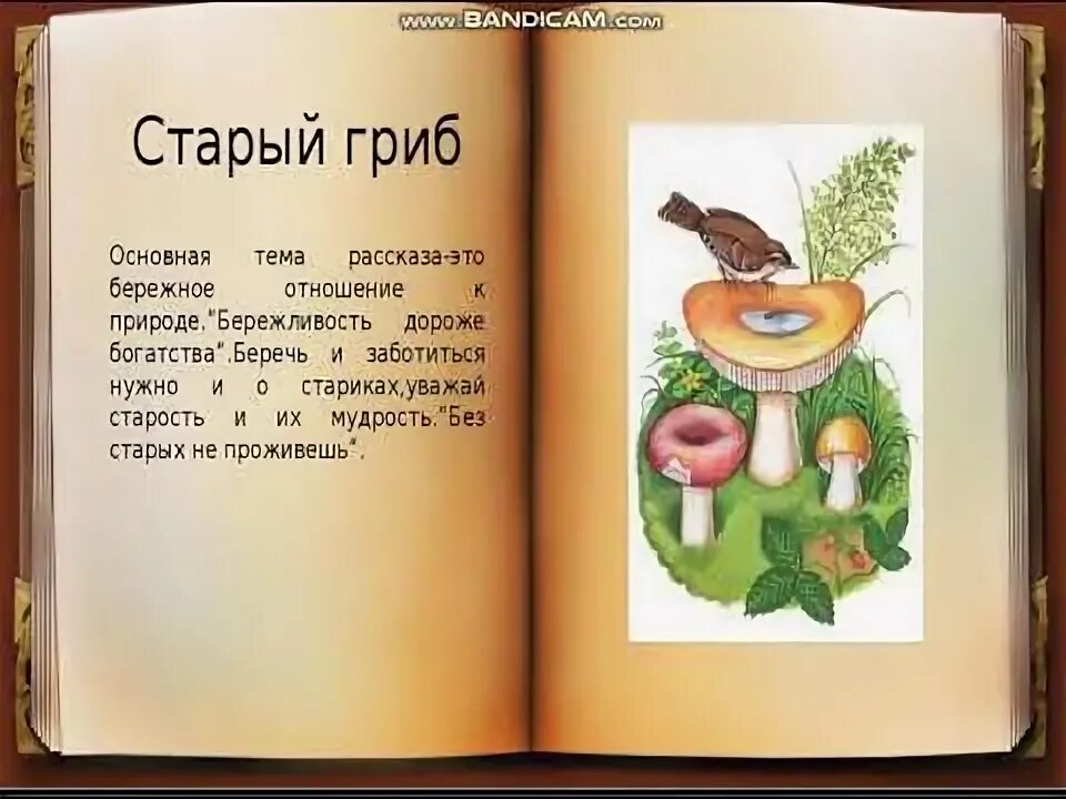 М. Пришвин грибы. Пришвин старый гриб обложка. Рассказ старый гриб. Пришвин грибы.