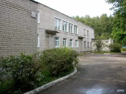 Лесная поляна кучино
