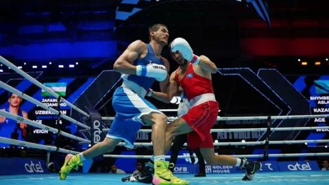 Бокс чемпионат казахстана