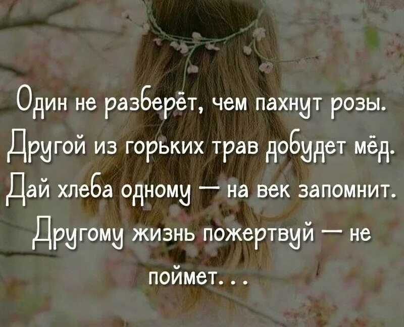 Один не разберет чем пахнут розы. Один не разберет чем. Дай хлеба одному навек запомнит другому жизнь пожертвуй не поймет. Один не разберет чем пахнут розы другой из горьких трав добудет