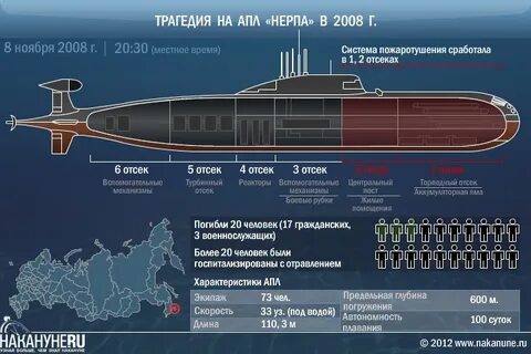 Сколько апл