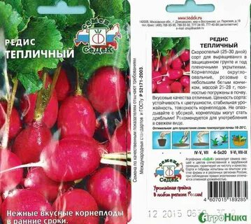 Редис в теплице ранней весной