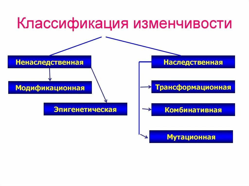 Типы наследственных изменений