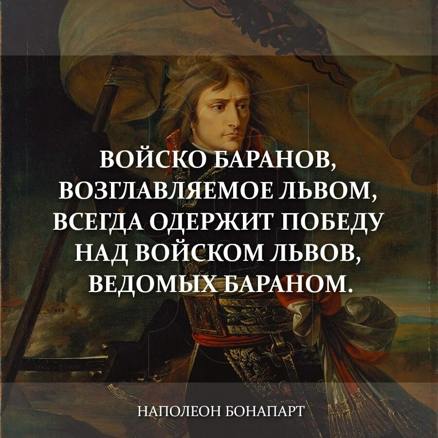 Войско Баранов возглавляемое львом всегда одержит. Войско возглавляемое львом всегда одержит победу над войском. Войско Баранов возглавляемое львом. Стадо Баранов возглавляемое.