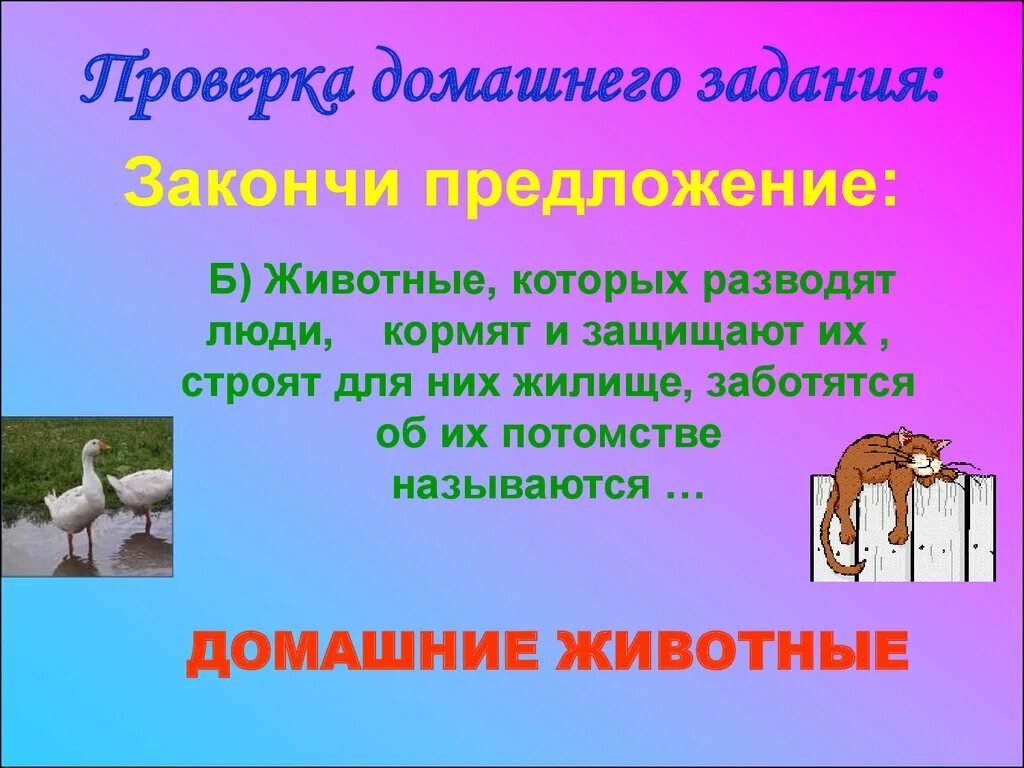 2 предложения о животных. Предложение о животном. предложения о животных 2 класс. домашнее животное предложение. предложение про домашних животных.