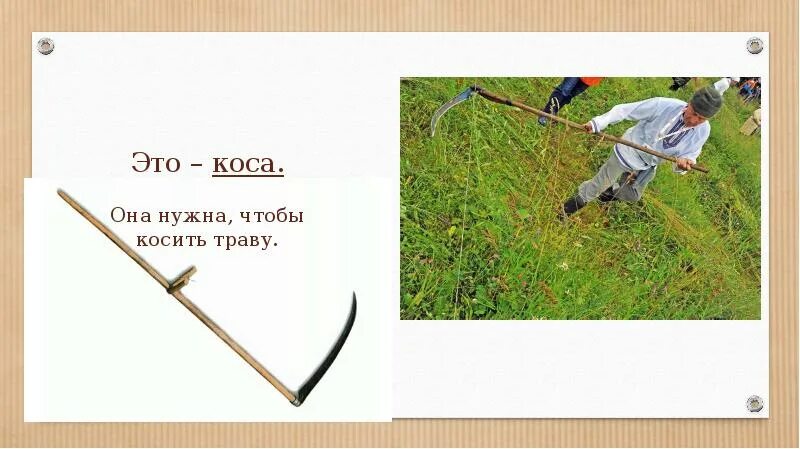 Кошу ни