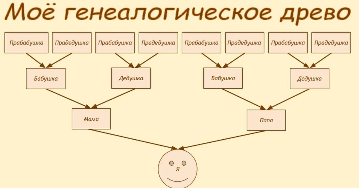 Близкие родственники писать. Составьте генеалогическое дерево родословная схема. Как составляется схема родословной. Как составить схему родословной семьи. Как составить схему родословного дерева.