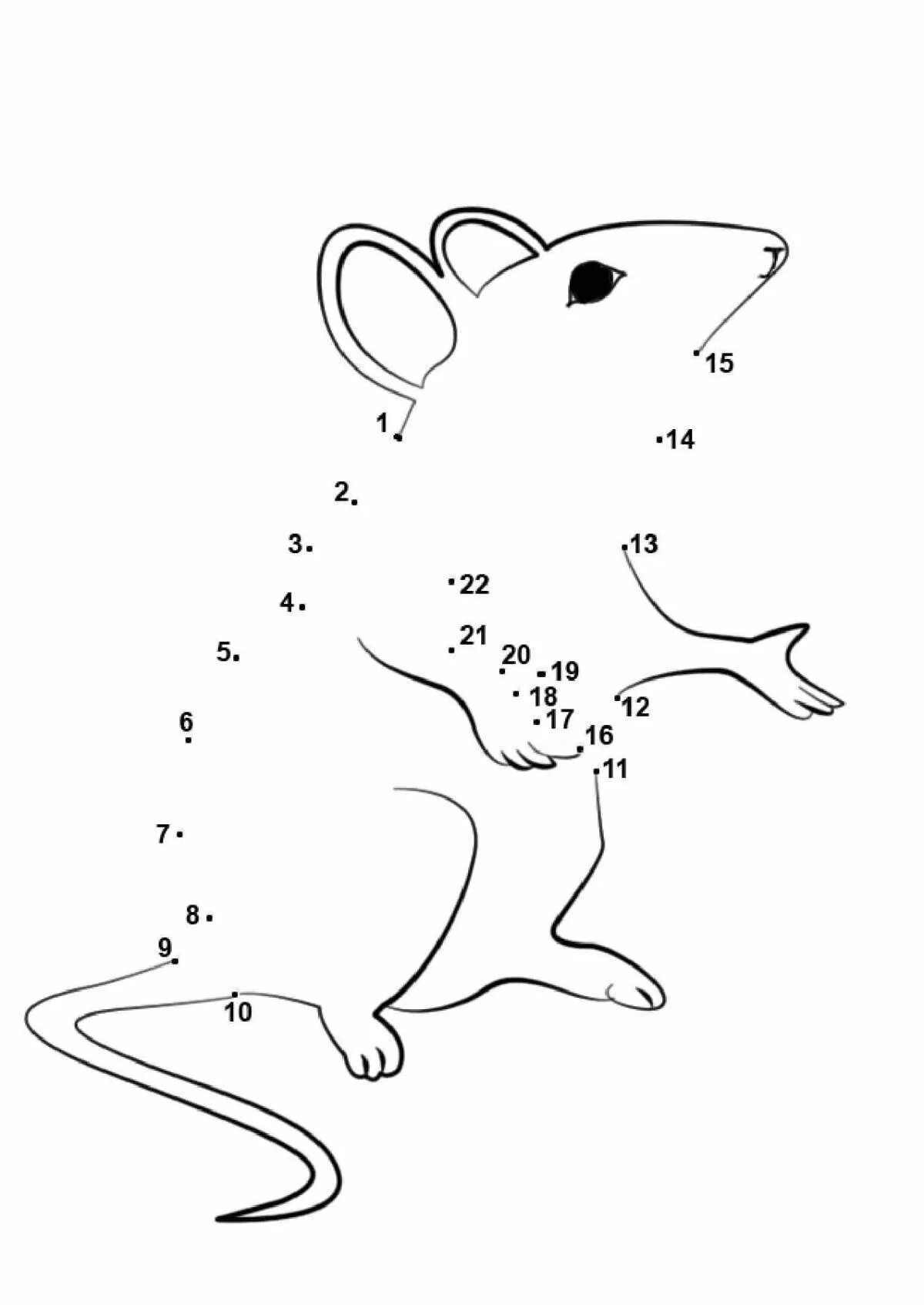 Точка обитатель. Рисунки по точкам. Рисование по точкам для детей. Мышка по точкам. Соедини по точкам. Животные.