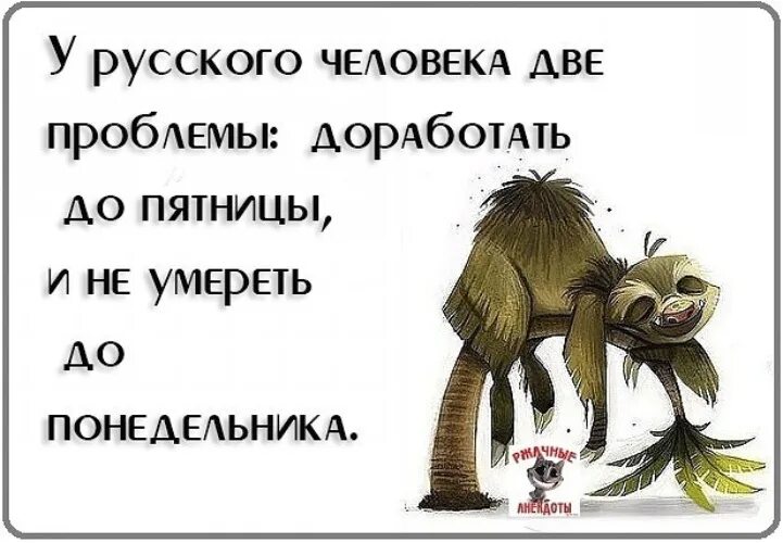 Сколько дней до пятницы. У русского человека две проблемы доработать. Дожили до пятницы. Фразы про пятницу. Анекдот про пятницу.