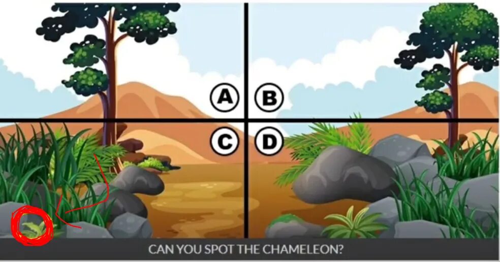 Хамелеон тест ответы. Spot the Chameleon 2021. Spot the Chameleon ответы 2021. Spot the Chameleon ответы 2022. Spot the Chameleon 2 ответы.