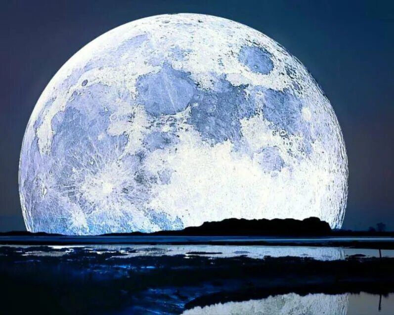 Удав желтобрюх. Девушка-луна. Лунный уж. Фиолетовая луна. Лунный уж.