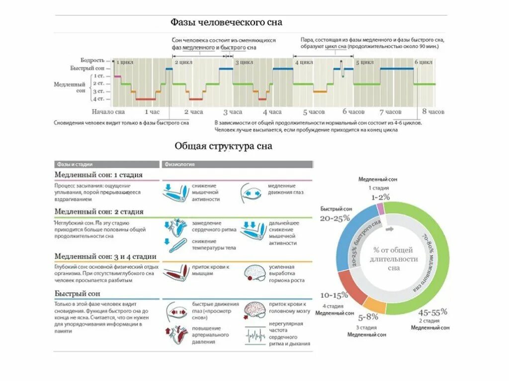 Согласно версии назначение быстрого сна найдите грамматическую. Структура и фазы сна. Фазы быстрого и медленного сна таблица. Фазы сна человека диаграмма. Структура сна фазы медленного и быстрого сна.