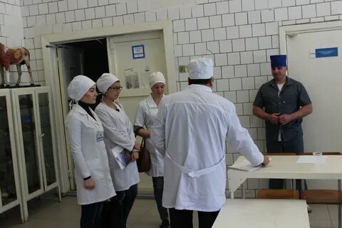 Учхоз ульяновск