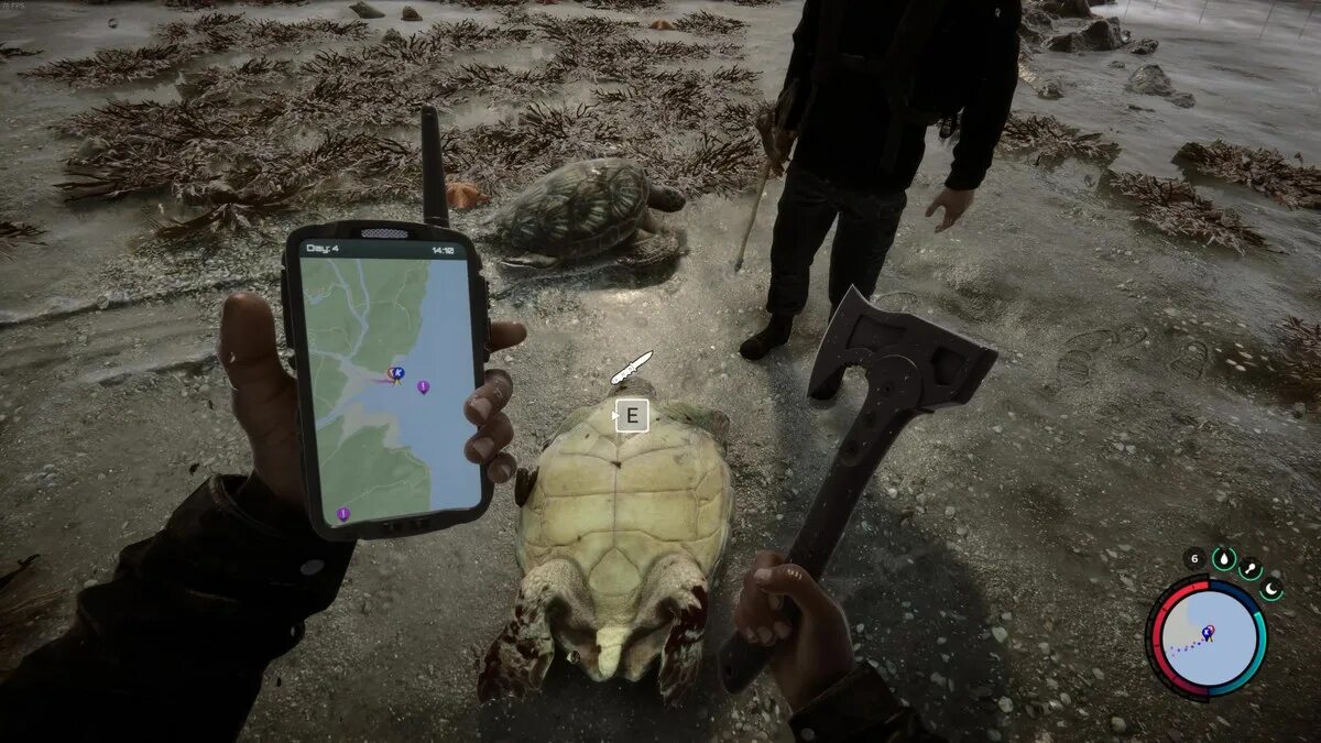 Sons of the forest черепахи. Forest 2 черепаха. Sons of the forest вирджиния. Черепахи в сун оф the форест. Черепаха форест.