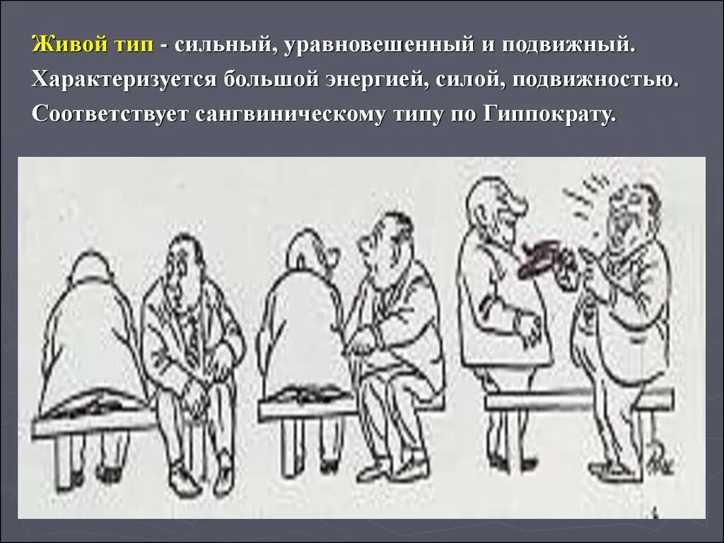 Сильный уравновешенный подвижный тип нервной. Типы высшей нервной деятельности. Сильный уравновешенный подвижный Тип ВНД. Живой Тип ВНД. Живой Тип по Павлову.